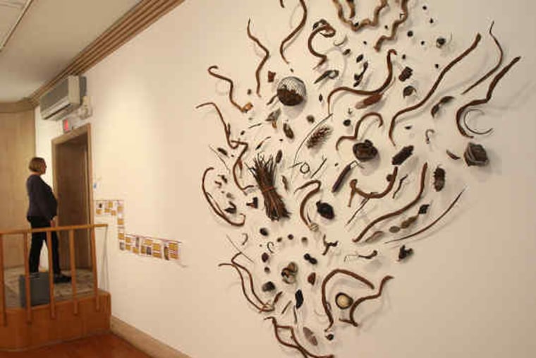 The center exhibits Ron Klein's "Doing, not Doing," made of seed pods.