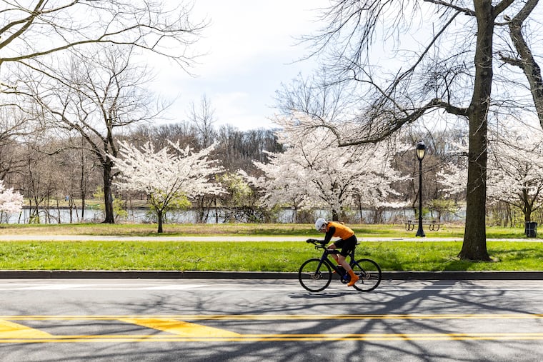 A bicyclist passes by while riding along the Martin Luther King Jr. Drive in March 2024.