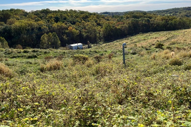 A "cap" for the Strasburg landfill Superfund site covers contaminated ground to keep contaminants from spreading. Though the site was cleaned up for contaminants discovered in the 1980s, PFAS were uncovered in 2023, which affected some residents' well water.