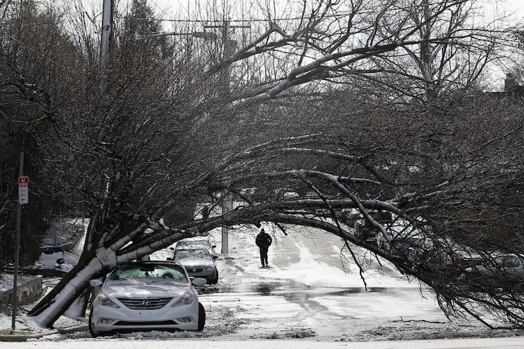 A man walks past a tree that fell onto a car across from the Overbrook train station on Saturday, March 3, 2018.