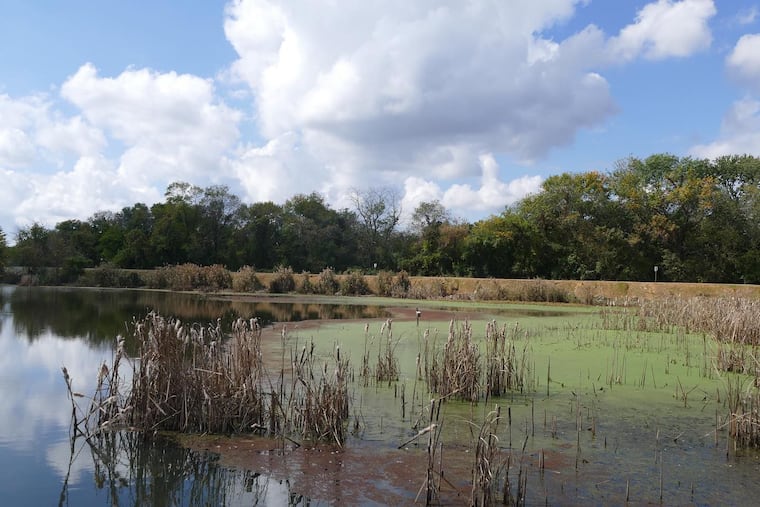John Heinz National Wildlife Refuge at Tinicum.