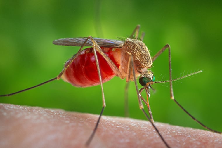 Philadelphia reported the first human case of West Nile virus for 2019.