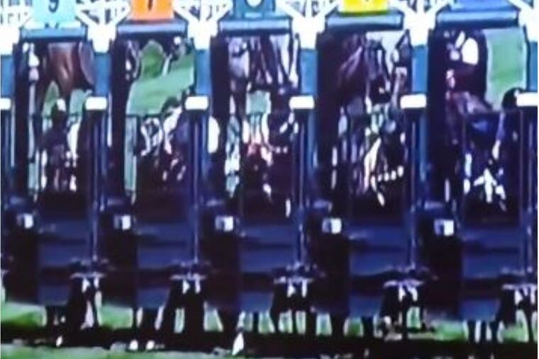 The video of the incident was shared on Twitter.