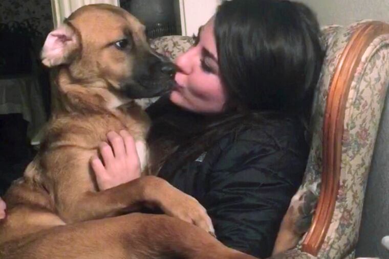 This undated photo provided by Jessica Sardina shows Honey, a boxer-lab mix, and herself in Bangor, Maine. A custody battle in Maine Supreme Judicial Court focuses on the dog. Maine law allows a judge to order married couples to share custody of animals, but that standard doesn't apply to unmarried couples splitting up. Jessica Sardina is challenging a ruling that her former boyfriend is Honey's sole owner because his signature appeared on adoption papers. (Samantha Sardina via AP)