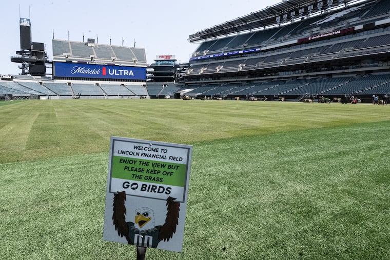 New sod is on the field Tuesday in preparation for the Club World Cup at Lincoln Financial Field.
