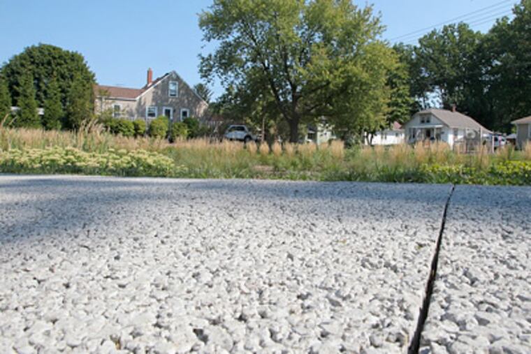 Rain gardens use nature's forces to collect and clean stormwater runoff. (Phil Masturzo/Akron Beacon Journal/MCT)