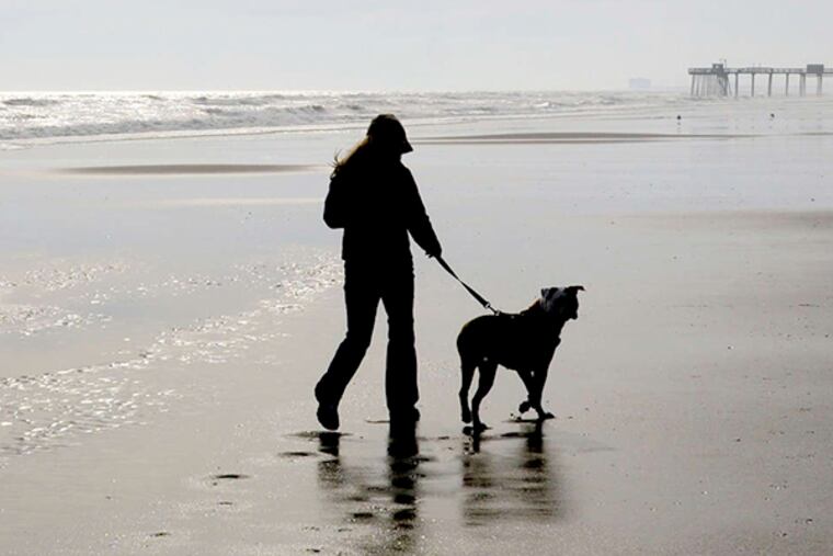 Wildwood's ordinance would set aside a stretch of beach for dogs and their owners.