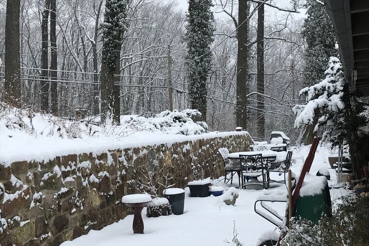 A fabulously decorative snow on Friday morning. More to come?