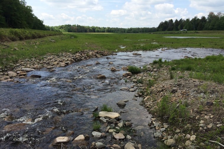 A portion of the 500 acres containing headwaters of the Lehigh River acquired by the Wildlands Conservancy and ultimately funded by the William Penn Foundation.