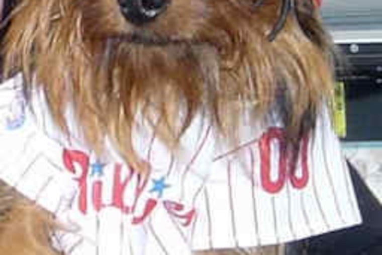 Jay-Jay wears his lucky Phillies jersey and hat for every game.