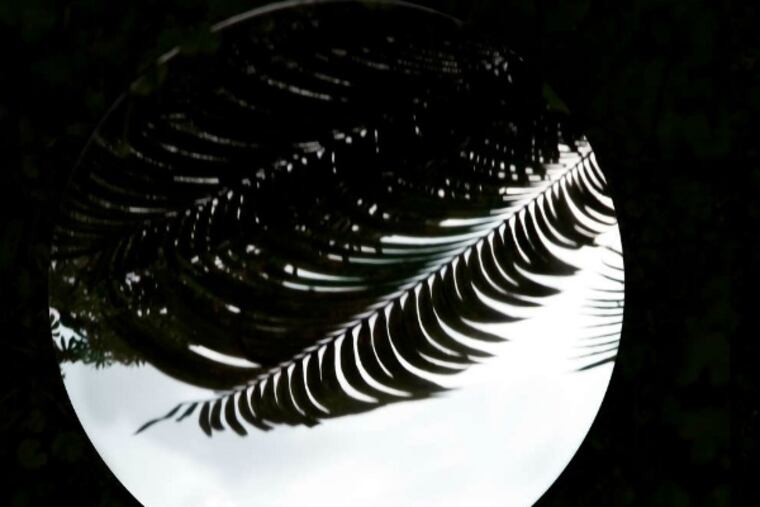 "Moontropic" (2014) by Eileen Neff at Bridgette Mayer Gallery.