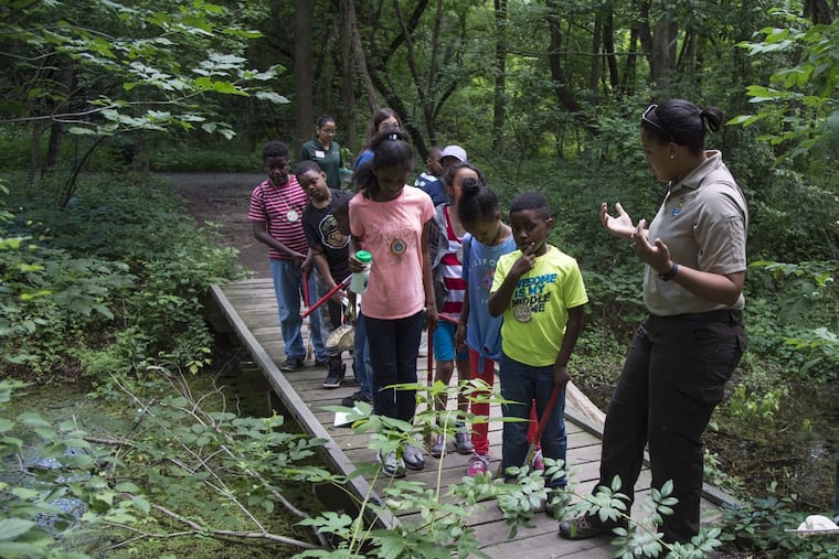 Brianna Patrick (right), environmental education supervisor at the Heinz Wildlife Refuge in Tinicum, leads a group of campers on a nature walk June 27, 2017. CLEM MURRAY / Staff Photographer