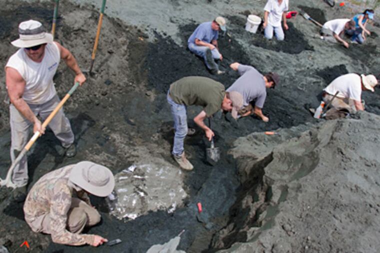 Jason Schein (top left) of the New Jersey State Museum and Drexel University's Paul Ullmann (bottom left) and Zack Boles lead a team digging a trench around the 65 million-year-old fossil before beginning the heavy work of lifting it from the ground. (David M Warren / Staff Photographer)