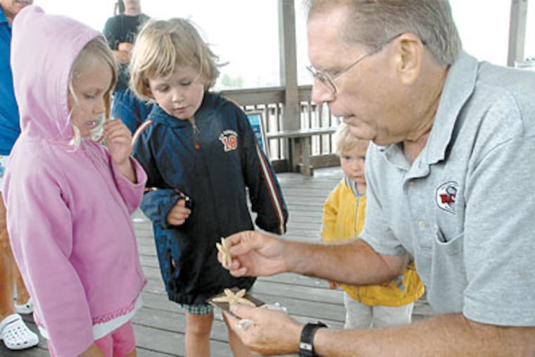 Rick Bushnell shows starfish to, from left to right, Juniper Reagan,5, and siblings Cedar Reagan, 4, and Maple Reagan, 2; the kids aref rom Hillsborough, NJ. (April Saul / Inquirer)