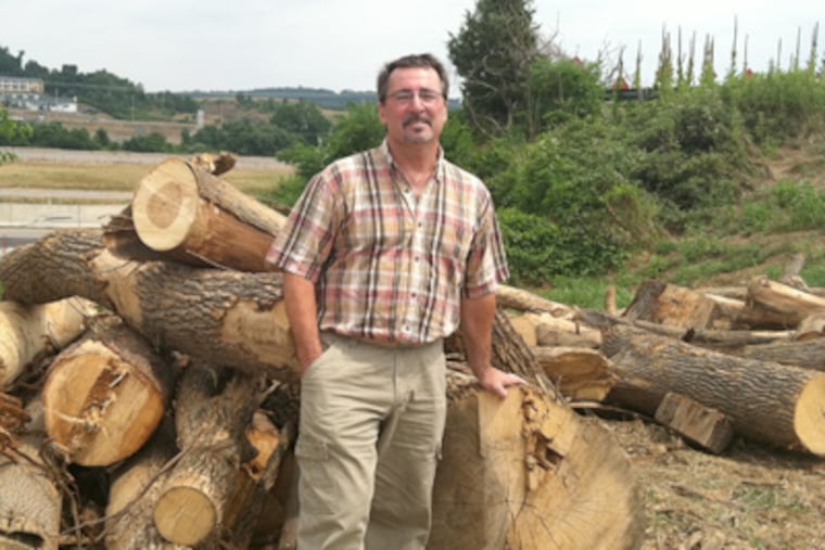 Joe Frassetta with trees felled along the PA Turnpike. (Sandy Bauers / Staff)
