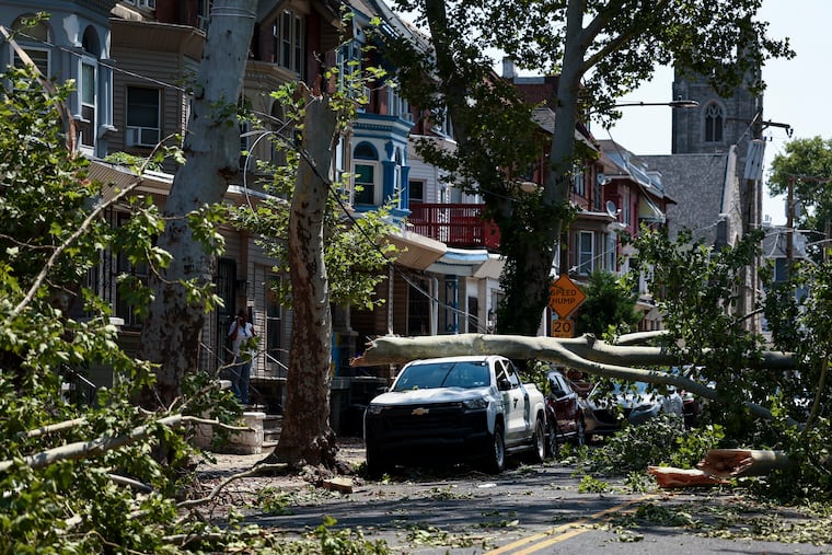 A fallen tree lays on a car on the 5100 block of Pine Street on Sunday, July 12, 2026, in West Philadelphia. On Saturday severe thunderstorms caused damage across the region.