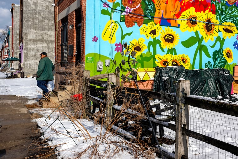 Chris Myers leaves the house at Sanctuary Farm in North Philadelphia and heads to the greenhouse where he did seed plantings for spring on Martin Luther King Jr. Day on Monday. This farm hosts nine community garden locations, providing free, fresh, organically grown produce, and holds programs for adults and children.