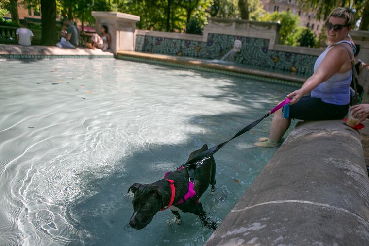 Erin Keltz lets her dog, Petals, go for a swim in the fountain at the park in Rittenhouse Square on Saturday, July 20, 2019.