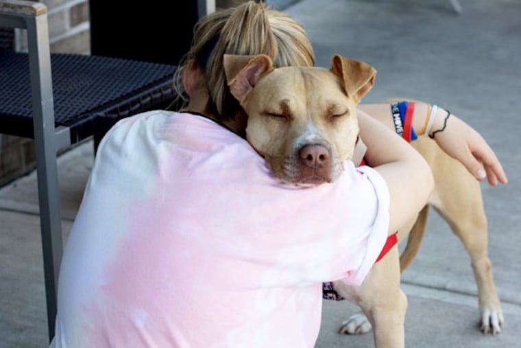 The ASPCA works to rescue animals from abuse, pass humane laws and share resources with shelters nationwide.