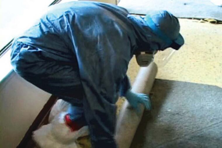 In an economy in which few careers seem recession-proof, crime-scene cleanup is one industry that's booming. (Photo courtesy of Biotrauma, Inc.)