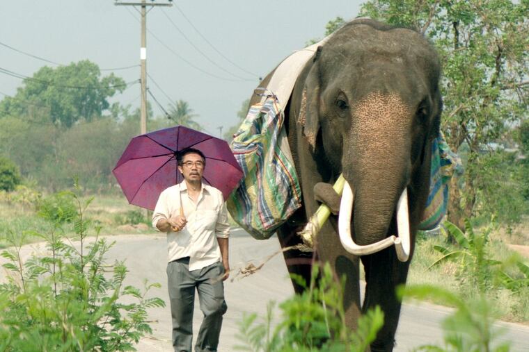 "POP AYE": A successful Bangkok architect (Thaneth Warakulnukroh as Thana) has has a midlife crisis that leads him to an encounter with the elephant (Bong as Popeye) with whom he spent an idyllic childhood in the Thai countryside. Together they embark on a road trip to deliver both man and beast to their origins.