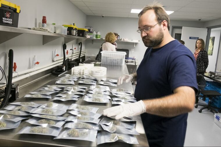 Jesse Czapkewicz packages and trims bags of marijuana at Compassionate Sciences Alternative treatment center, the new marijuana dispensary and grow site in Bellmawr, soon after it opened in 2015