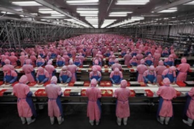 "Manufactured Landscape" looks at industrialization in China, as in this scene of a chicken processing plant .