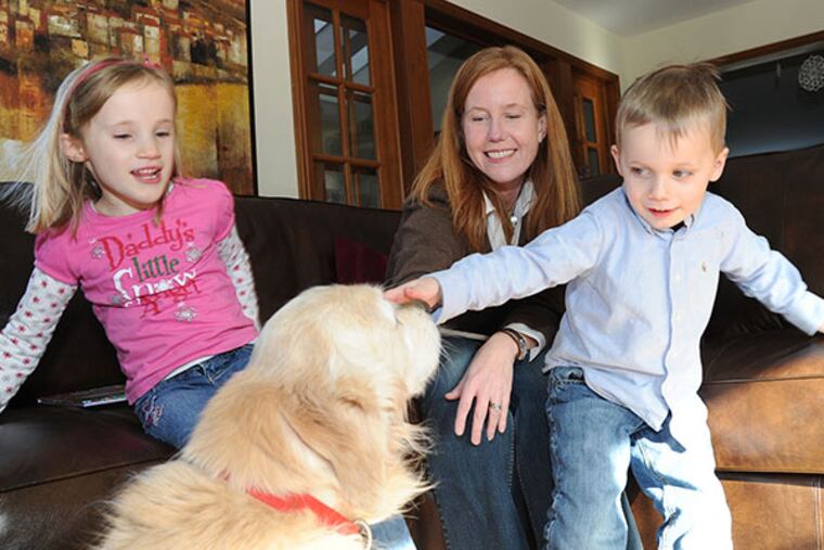 Ylva Kelsall, 44, spends time with her 5-year-old twins, Raine (left) and Toby, and golden retriever Rolo, at home January 7, 2014. Ms. Kelsell is one of the organizers of a group of parents in Radnor Township who do not want to send kids to full-time kindergarten. ( CLEM MURRAY / Staff Photographer )