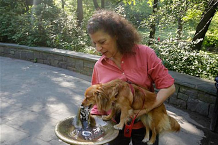 Betsy Robinson gives her dog Maya a drink as they walk through Central Park in New York, Tuesday, May 25, 2010. Robinson enjoys the single life she's always had. (AP Photo/Seth Wenig)