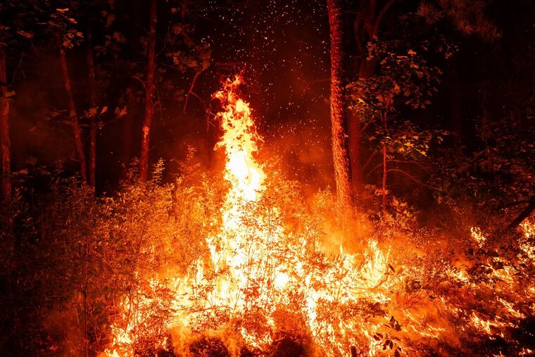 Firefighters work to contain a wildfire in Wharton State Forest near the border of Camden and Burlington Counties in New Jersey on Monday.
