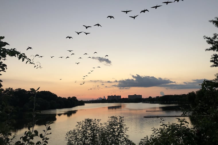 A view of the Cooper River, with the Philadelphia skyline as the backdrop. Officials say a new $400 million plan to address threats to area waterways could someday make the river swimmable.