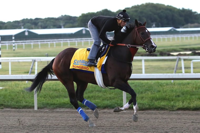 Songbird, ridden by Edgar Rodriguez during training hours at Parx Racing in Bensalem in September.