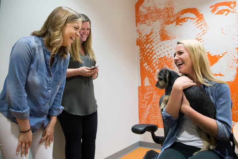 At Five Below headquarters in Center City, employees (from left) Anna Townley, associate buyer; Dana Zuppo, senior marketing manager; and Emma Morton, assistant buyer, enjoy puppy time.