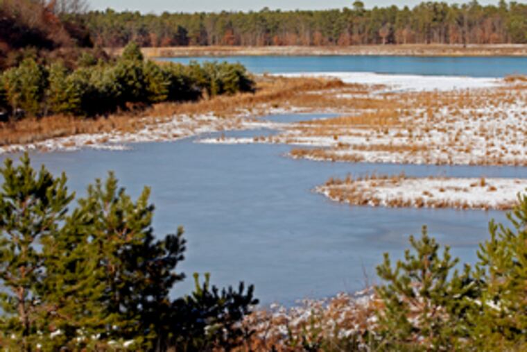 The Monroe Township property is home to barred owls and tree frogs, but a state official says threatened species are all over the state, including areas the park is intended to spare from ATVs.