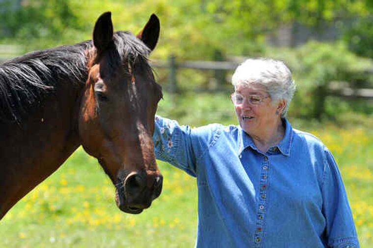 JoAnn Mauger of the Large Animal Protection Society with Dylan, a horse she is nursing back to health at her Chester County farm.