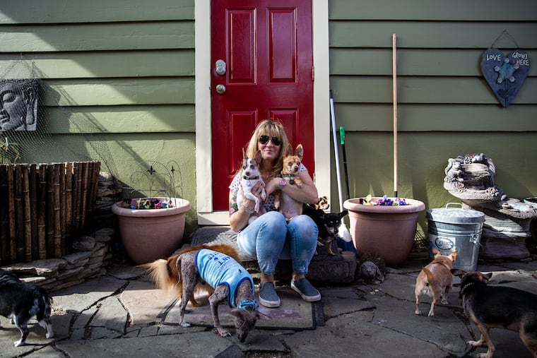 Stacey Herrick, owner of Happy Tails Retirement Home, is pictured with a few of her residents. “This has been a tough year and I think they mean everything,” Herrick said. “They’re a reason to get up and enjoy life and a reason to be present. It’s important to make sure they are happy and that you don’t think about yourself. Make sure they have the end they deserved.”