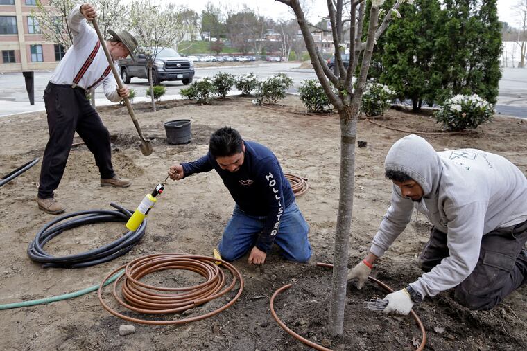 Stephen Faulkner, far left, owner of Faulkner's Landscaping & Nursery, installs an irrigation system alongside workers Gonsalo Garcia, center, and Jalen Murchison, right, at a landscape project in Manchester, N.H.