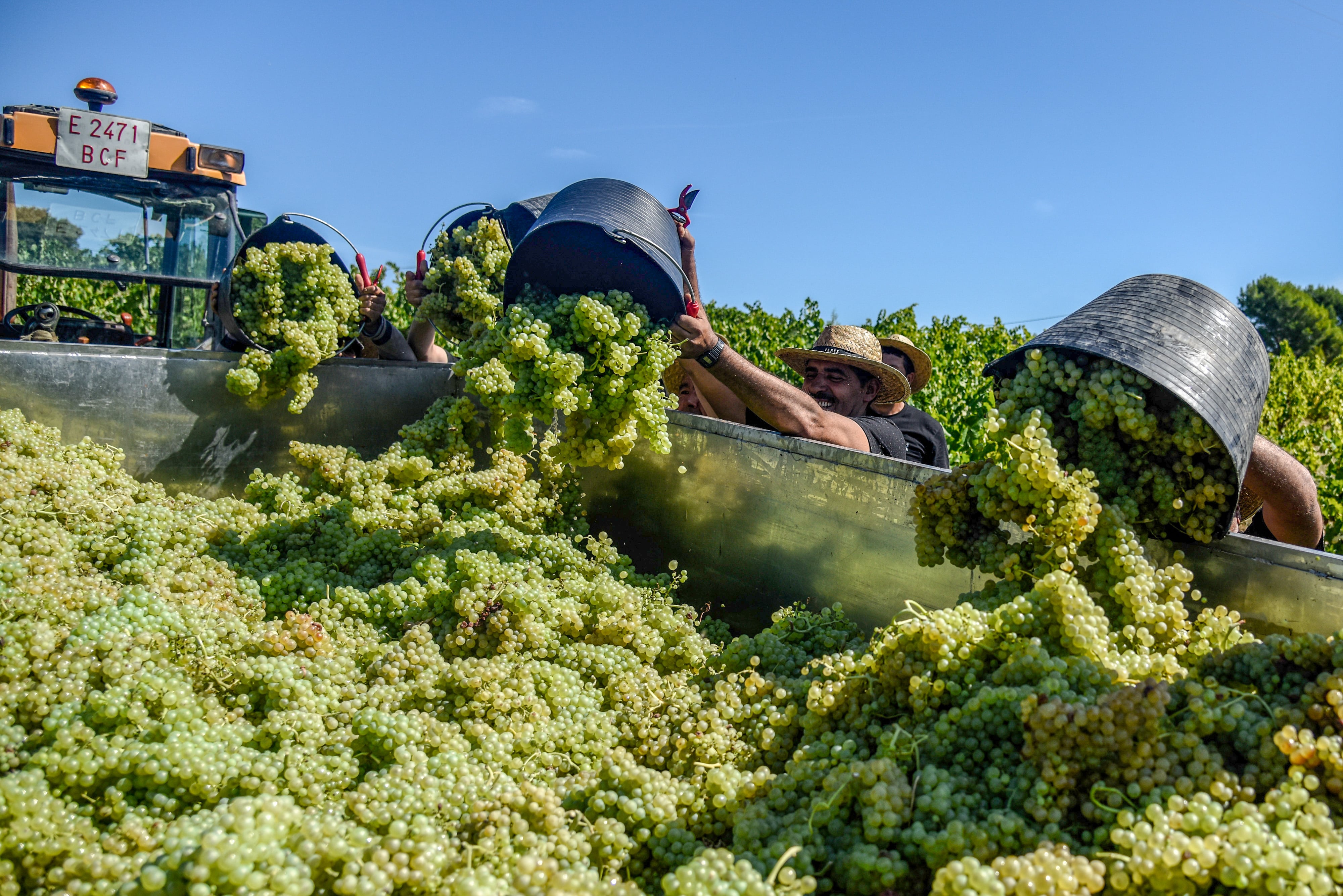 In Spain, Cava is more about technique than a sense of place
