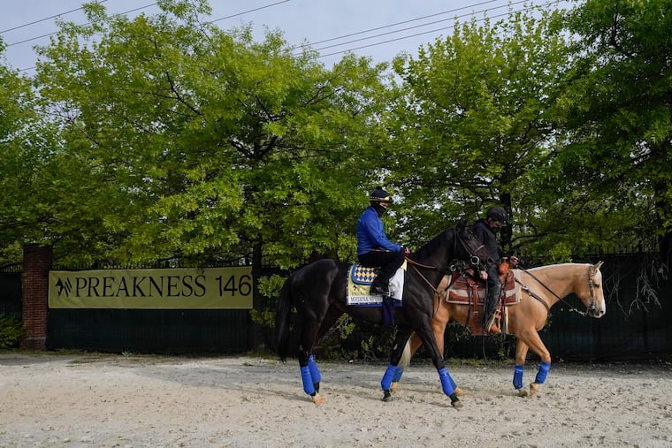 Exercise rider Humberto Gomez, top left, takes Kentucky Derby winner Medina Spirit to the track for a training session ahead of the Preakness Stakes horse race.
