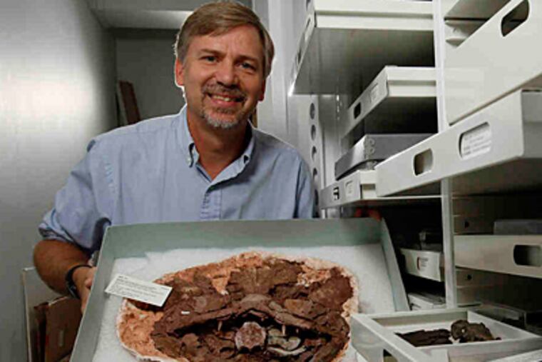 Ted Daeschler of the Academy of Natural Sciences said discovering the fish fossil was "like finding a Rosetta stone."