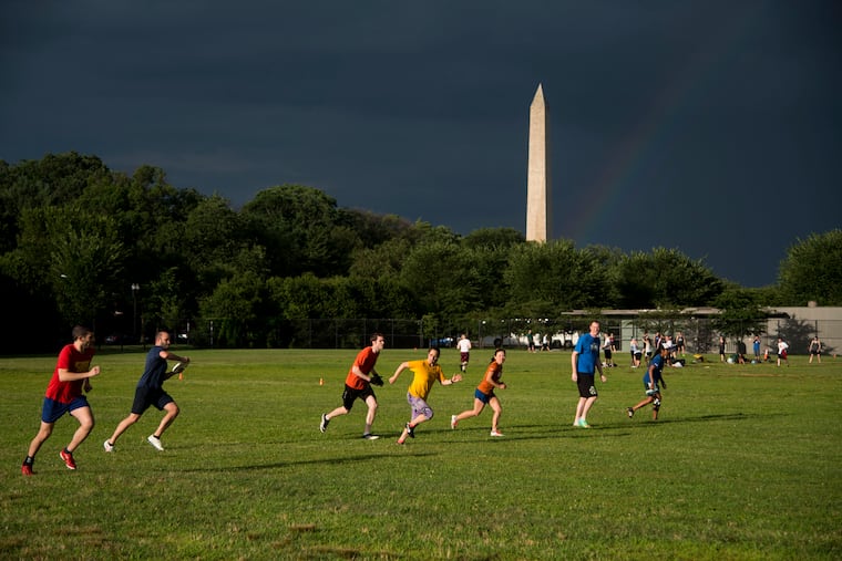 West Potomac Park is a hub for local sports, but they might be displaced by the president's planned sculpture garden.