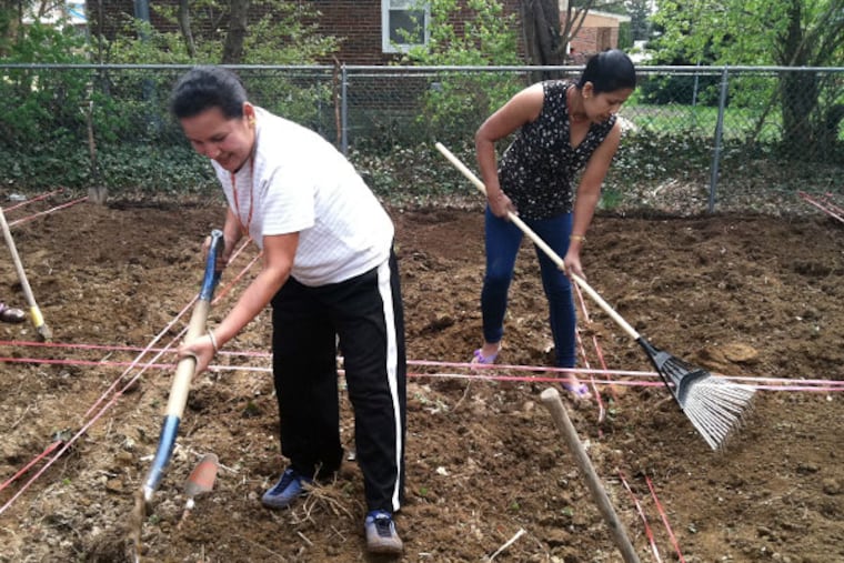 Indra Karki, left, and Meena Dhimal, Bhutanese refugees of Nepali descent, till the soil at a new community garden for Bhutanese refugees on the grounds of the All Saints Episcopal Church at Loney and Frontenac streets in Rhawnhurst on Friday, April 25, 2014. HIAS Pennsylvania, a refugee resettlement agency, helped find this piece of land for the refugees. (Julie Shaw/Staff)
