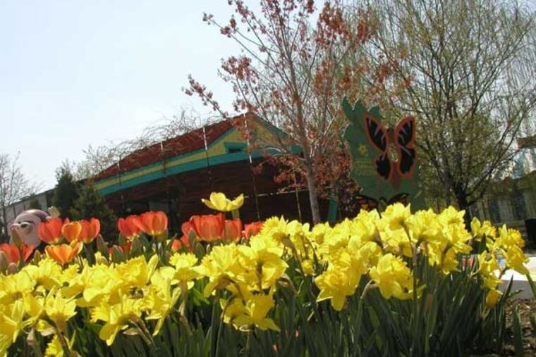 Among amenities at the Camden Children's Garden is a butterfly house. The state has given the garden's operators until March 31 to remove all property, including its amusement rides, gazebo, and giant dinosaur.