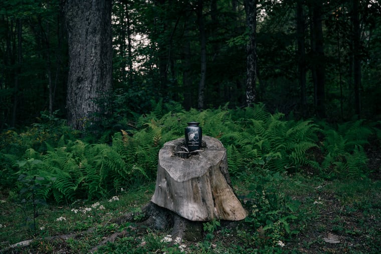 The ashes of Cleon Boyd are seen in Readsboro, Vt., on Sept. 15, 2020. Cleon, 64, and his twin brother, Leon, were two of the first covid-19 deaths in their county back in April. Eleven members of their family ended up testing positive for the novel coronavirus.