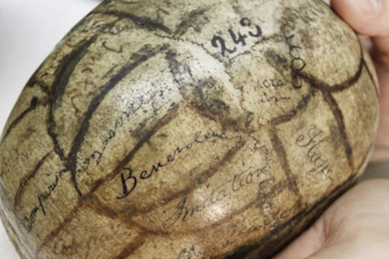 Janet Monge holds a skull from the collection at the Penn Museum. Scientists no longer focus on brain size. (Elizabeth Robertson / Staff Photographer)