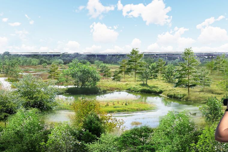 A view of a 33-acre wetland the city is slated to break ground on.
