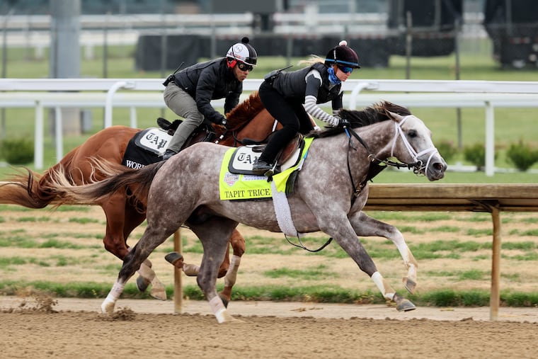 Tapit Trice, trained by Todd Pletcher, has won his last three Derby prep races.