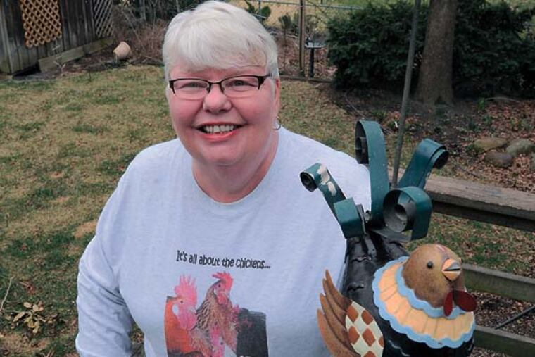 Wearing a t-shirt exclaiming "It's all about chickens" and holding a statuette of a chichen, Gwenne Baile, 65, stands on her deck April 2, 2014 overlooking her backyard where she would like to keep chickens. The Haddon Township self-described activist is trying to get zoning laws changed so she and others can keep chickens. ( CLEM MURRAY / Staff Photographer )