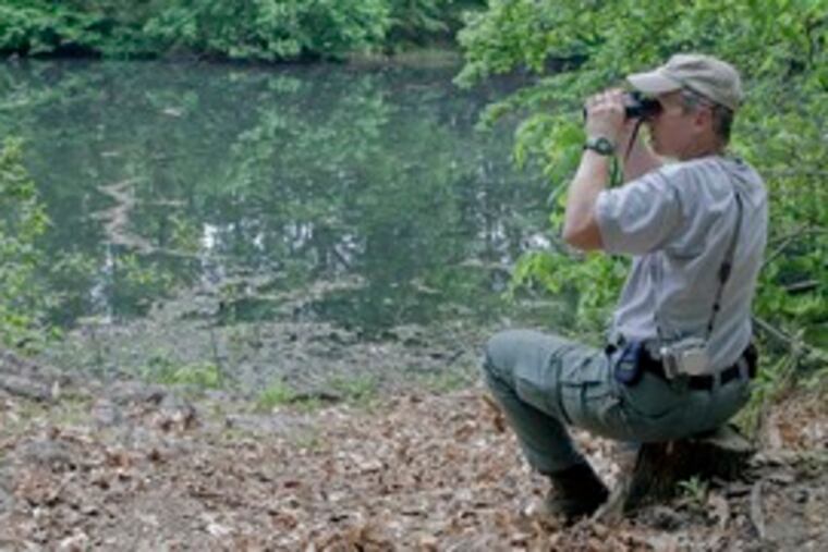 Using a binocular, Kim Tinnes, a New Jersey Fish and Wildlife control technician, tries to locate an alligator that slipped into Hopkins Pond.