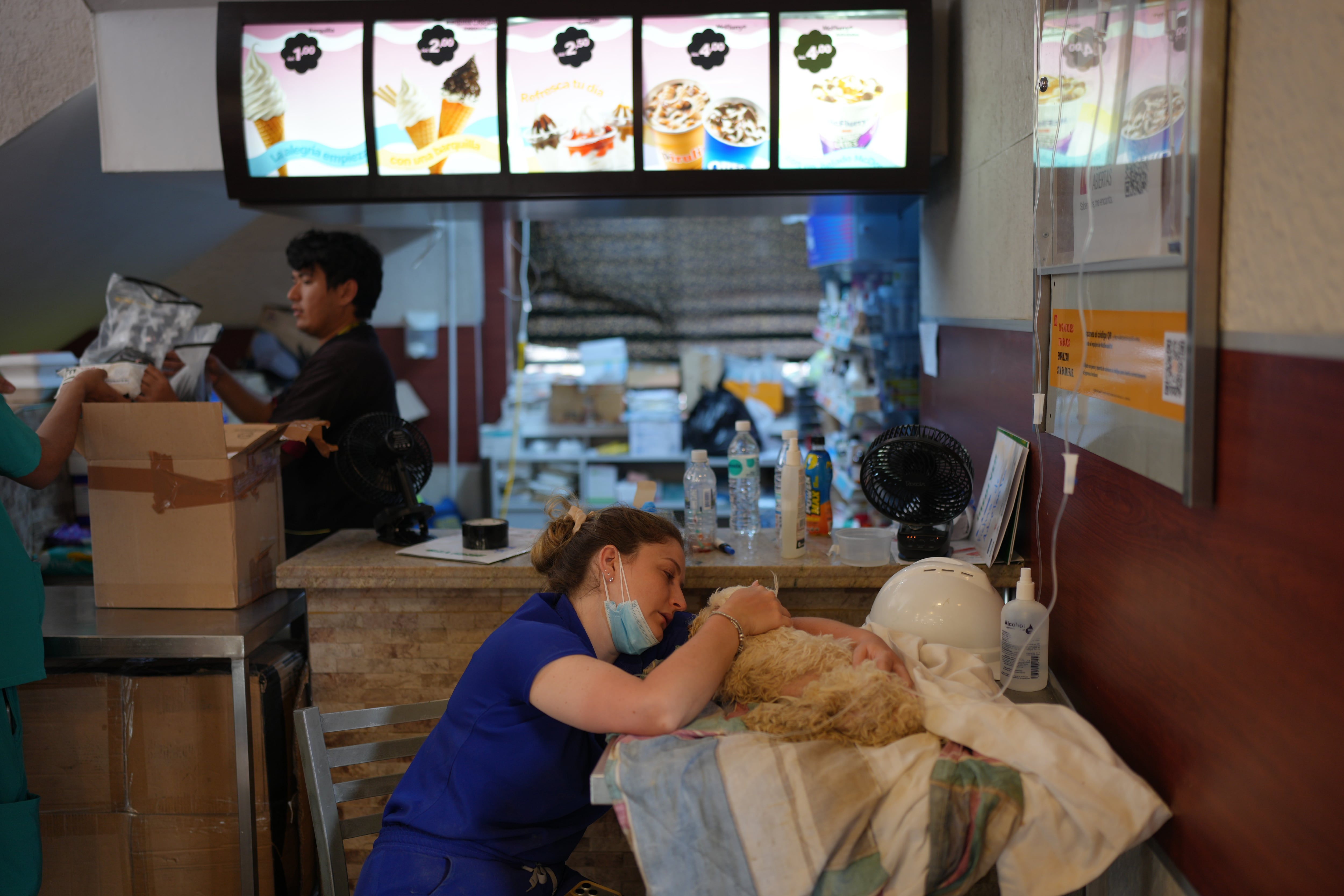 Venezuelan earthquake survivors search for missing pets in an unexpected place: McDonald's